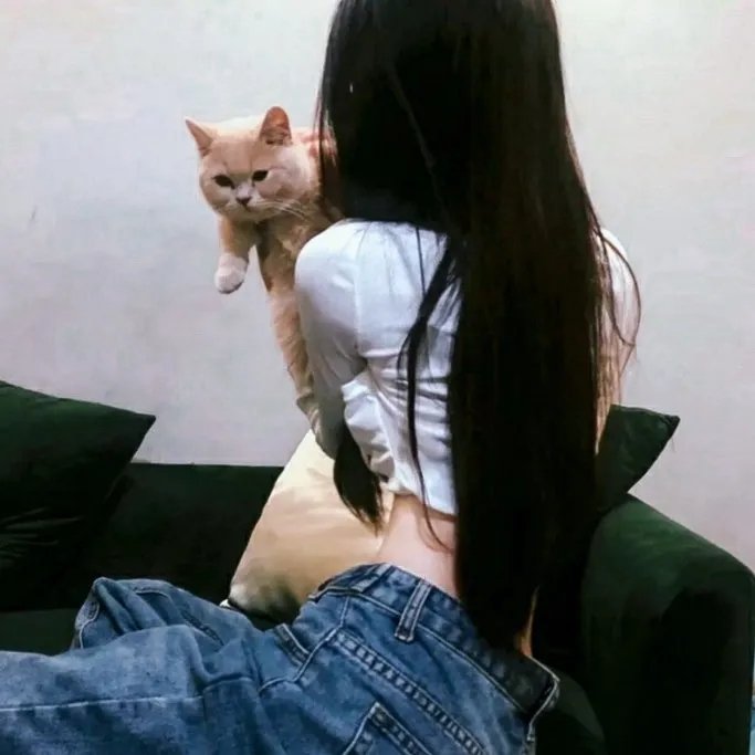 热狗行动